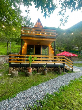 Cottage Pasanauri